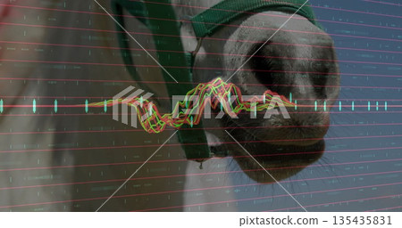 Displaying horse muzzle wearing green nylon halter at barn with financial chart overlay, copy space Displaying horse muzzle wearing green nylon halter at barn with financial chart overlay, copy space 135435831