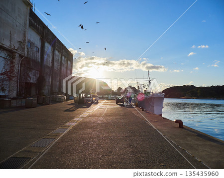 Scenery of fishing boats at the tuna wholesale market at Katsuura Fishing Port in Wakayama Prefecture Scenery of fishing boats at the tuna wholesale market at Katsuura Fishing Port in Wakayama Prefecture 135435960