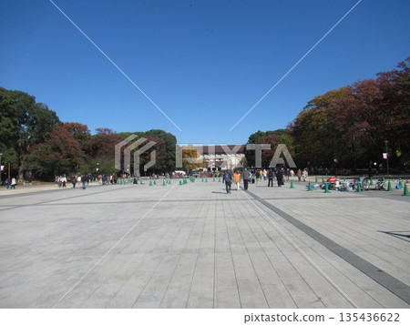 Ueno Park near the fountain square 135436622