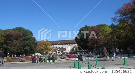上野公園噴泉廣場附近 上野公園噴泉廣場附近 135436625