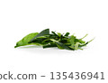 Fresh organic kaffir lime leaves, no chemicals, cut into pieces as a cooking ingredient. Green leaves, placed on a white background 135436941