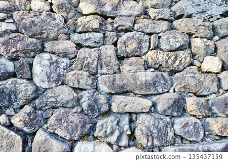 犬山城（愛知縣犬山市）的石垣 135437159