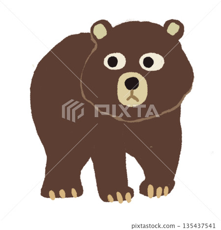 Cute bear illustration from the front - Picture book style, loose touch, transparent background Cute bear illustration from the front - Picture book style, loose touch, transparent background 135437541
