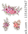 Set of watercolor mini bouquets and borders of red-purple anemones and eucalyptus 135437947