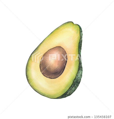 Half of fresh avocado with brown seed. Hand drawn watercolor ripe green fruit illustration isolated from background for food design, Healthy eating for stores, cafes, packaging, vegetables vegan menu. Half of fresh avocado with brown seed. Hand drawn watercolor ripe green fruit illustration isolated from background for food design, Healthy eating for stores, cafes, packaging, vegetables vegan menu. 135438107