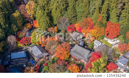 Nov 23 2025 Serene Jakko in Temple in Ohara Kyoto Valley 135438240