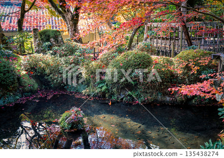 Nov 23 2025 Zen Garden at Jakko in Temple in Kyoto Nov 23 2025 Zen Garden at Jakko in Temple in Kyoto 135438274