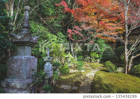 Nov 23 2025 Historic Jakko in Temple Amid Scenic Kyoto Mountains Nov 23 2025 Historic Jakko in Temple Amid Scenic Kyoto Mountains 135438289