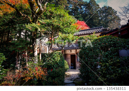Nov 23 2025 Historic Jakko in Temple Amid Scenic Kyoto Mountains 135438311