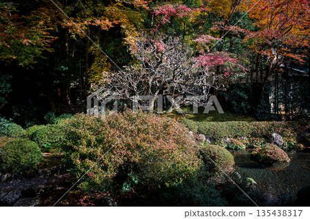 Nov 23 2025 Zen Garden at Jakko in Temple in Kyoto Nov 23 2025 Zen Garden at Jakko in Temple in Kyoto 135438317