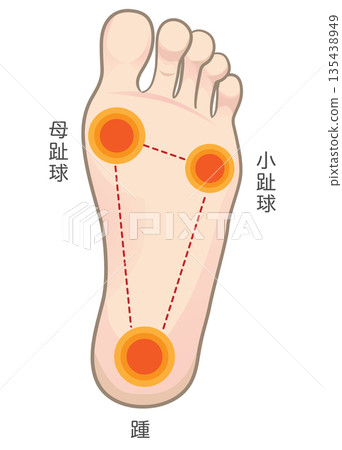 腳底的接觸面 腳底的接觸面 135438949