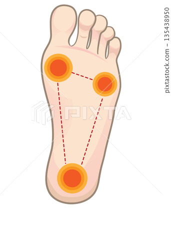 腳底的接觸面 135438950