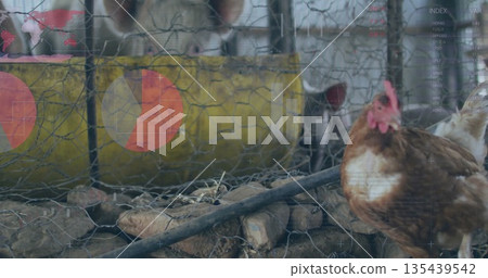 Pecking brown hen behind wire mesh fence in farm enclosure, with feeder trough, overlay, copy space Pecking brown hen behind wire mesh fence in farm enclosure, with feeder trough, overlay, copy space 135439542