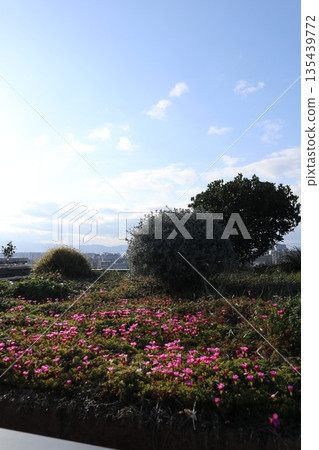 2024, Fukuoka, Fukuoka City, Landscape, Hakata Ward, Hakata Station Central Street, Hakata Station, Part 17 2024, Fukuoka, Fukuoka City, Landscape, Hakata Ward, Hakata Station Central Street, Hakata Station, Part 17 135439772