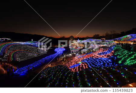 贊岐萬能國立公園龍頭村的燈光秀(冬季)。 贊岐萬能國立公園龍頭村的燈光秀(冬季)。 135439823
