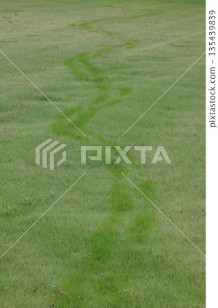 Footprints in the morning dew Footprints in the morning dew 135439839