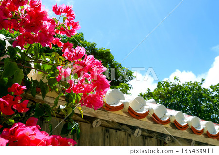 沖繩瓦屋頂、藍天和九重葛 沖繩瓦屋頂、藍天和九重葛 135439911