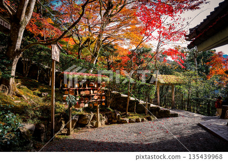 Nov 23 2025 Zen Garden at Jakko in Temple in Kyoto 135439968