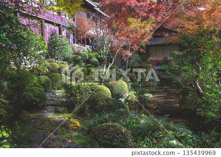 Nov 23 2025 Zen Garden at Jakko in Temple in Kyoto 135439969