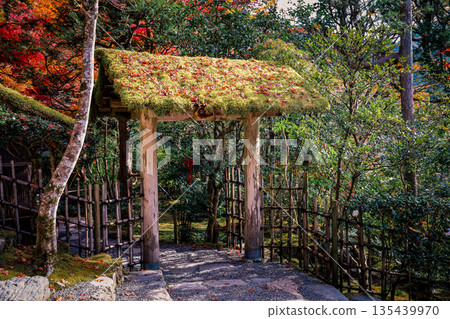 Nov 23 2025 Zen Garden at Jakko in Temple in Kyoto 135439970