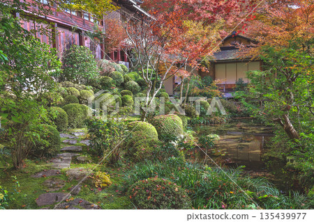 Nov 23 2025 Zen Garden at Jakko in Temple in Kyoto 135439977