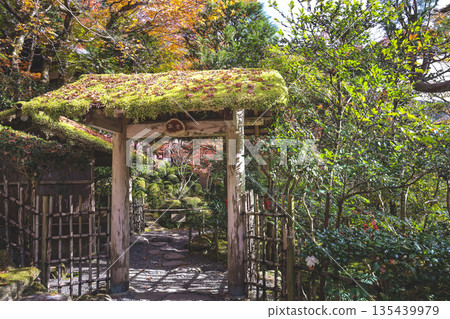 Nov 23 2025 Zen Garden at Jakko in Temple in Kyoto 135439979