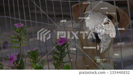 Peering dog through wire fence in backyard, showing pink flowers, digital globe and numeric data Peering dog through wire fence in backyard, showing pink flowers, digital globe and numeric data 135440832