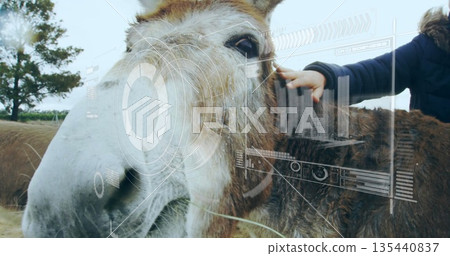 Petting donkey head near herd body and scanning AR overlays in pasture, with fur-trimmed coat 135440837