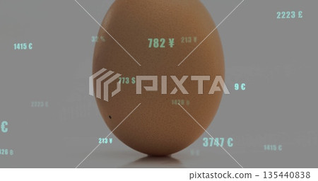 Standing brown egg reflecting on smooth gray studio surface, drifting yen cent pound numeric values 135440838