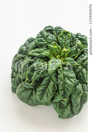 Curly spinach, cold-cured spinach, white background Curly spinach, cold-cured spinach, white background 135440970