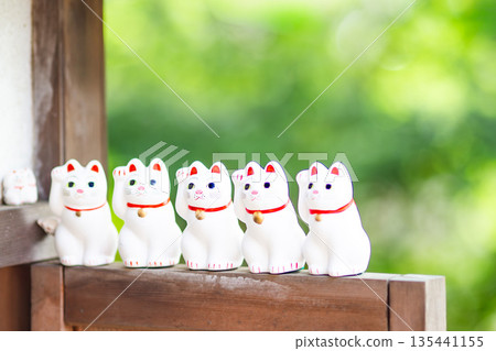 Maneki-neko (beckoning cats) lined up 135441155