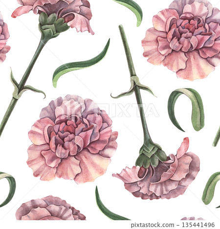 Seamless pattern, carnation flowers, buds and leaves. Hand-painted watercolor botanical illustration isolated on white for textiles, packaging, stationery, wallpapers, branding, wedding design, decor Seamless pattern, carnation flowers, buds and leaves. Hand-painted watercolor botanical illustration isolated on white for textiles, packaging, stationery, wallpapers, branding, wedding design, decor 135441496