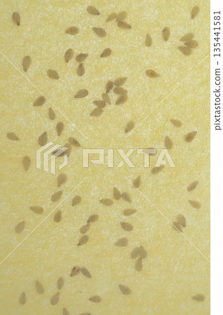 日本紙與白芝麻的結合 [背景素材] 135441581