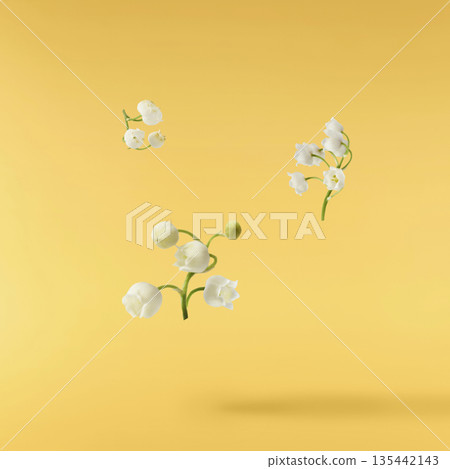 Beautiful Snowdrop flower falling in the air isolated Beautiful Snowdrop flower falling in the air isolated 135442143