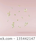 Beautiful Snowdrop flower falling in the air isolated  135442147