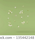 Beautiful Snowdrop flower falling in the air isolated  135442148