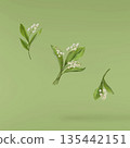 Beautiful Snowdrop flower falling in the air isolated  135442151