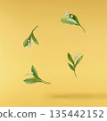 Beautiful Snowdrop flower falling in the air isolated  135442152