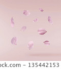 Beautiful Snowdrop flower falling in the air isolated  135442153