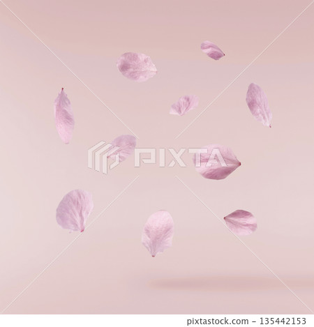 Beautiful Snowdrop flower falling in the air isolated Beautiful Snowdrop flower falling in the air isolated 135442153