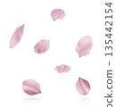 Beautiful Snowdrop flower falling in the air isolated  135442154