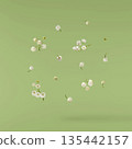 Beautiful Snowdrop flower falling in the air isolated  135442157