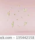 Beautiful Snowdrop flower falling in the air isolated  135442158
