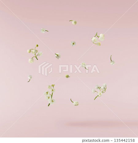 Beautiful Snowdrop flower falling in the air isolated  135442158