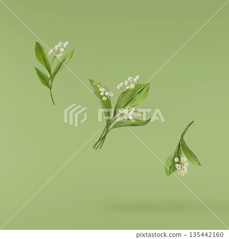 Beautiful Snowdrop flower falling in the air isolated Beautiful Snowdrop flower falling in the air isolated 135442160