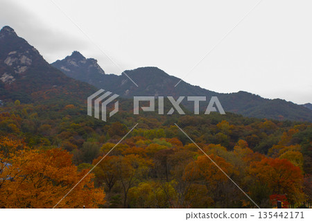 This is a Korean autumn mountain landscape. 135442171