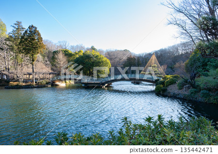 藥師池公園的冬季景色 藥師池公園的冬季景色 135442471