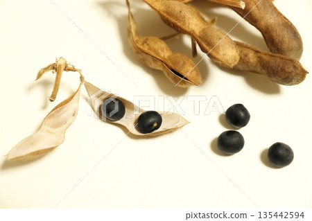 收穫的黑豆照片 135442594