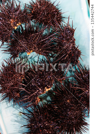 A large number of northern purple sea urchins (Hachinohe City, Aomori Prefecture) A large number of northern purple sea urchins (Hachinohe City, Aomori Prefecture) 135442744