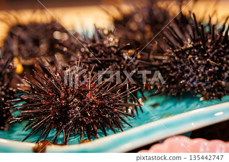 Sea urchin shell (Hachinohe City, Aomori Prefecture) Sea urchin shell (Hachinohe City, Aomori Prefecture) 135442747